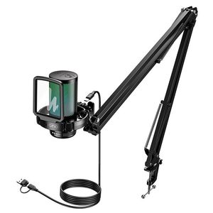 Recording Studio Condenser RGB Gaming Microphone