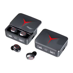 Factory Sales Tws Earbuds Wireless BT Waterproof